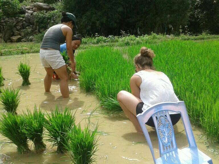 Yen Nhi Homestay Ban Gioc Cao Bang Exterior photo